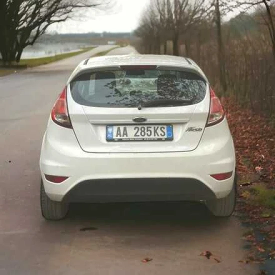Louer une Ford Fiesta de l'année 2014 à Tirana